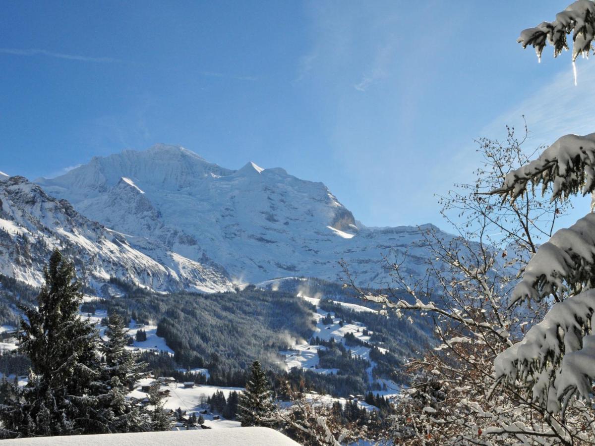 Apartment Rustica By Interhome Wengen Exterior photo
